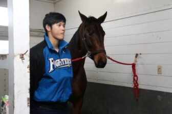 大谷翔平はなぜ馬の名付け親に 名前と関係性は 場所はどこで見れる ナインヤード