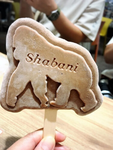 溶けないアイスmixreamはどこで売ってる 販売店と通販は ナインヤード